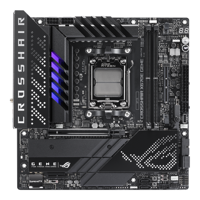 X670 Gene